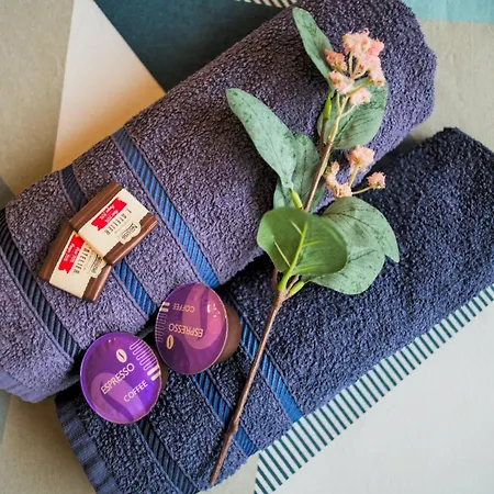 Lumineux, 80m², Proche Des Vosges شقة تان